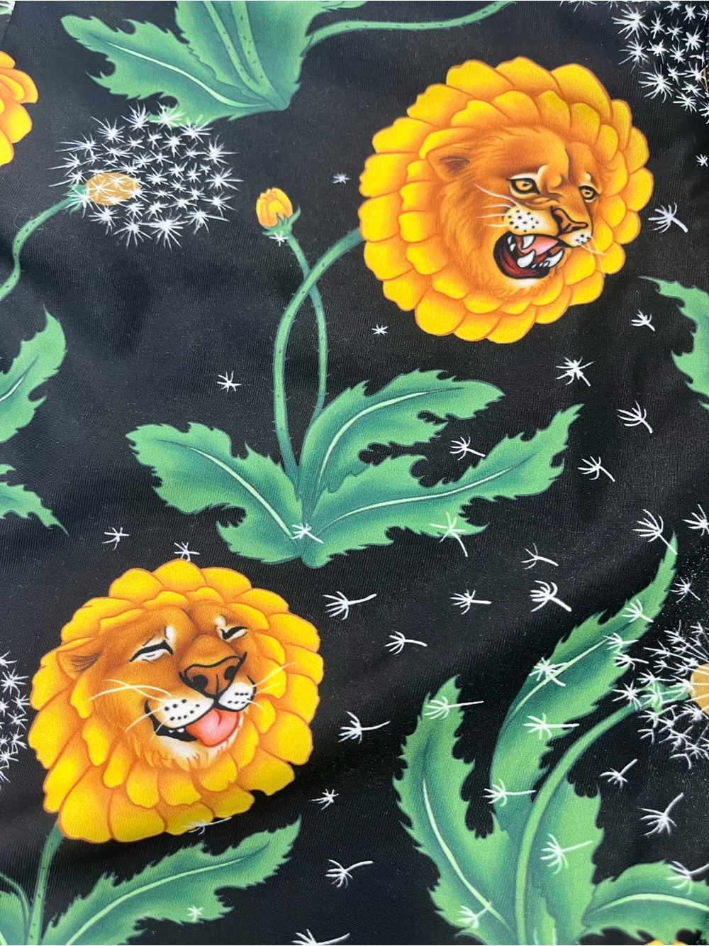 BlackMilk Floral Dandylion Women’s High-Waist Shorts - Picture 4 of 5